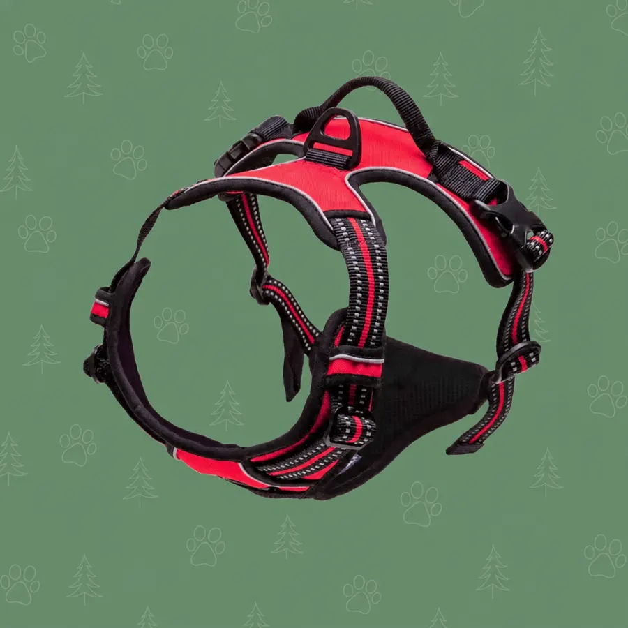 Harnais Classique clip frontal coloris rouge