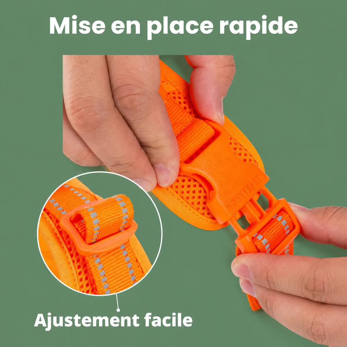 Mise en place du harnais Premium : boucle clipsée en quelques secondes